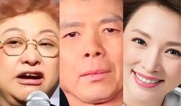 韩红事件6个人受影响！3人口碑暴增、2人被骂惨、只有她最无辜！