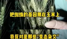 百万粉丝网红诋毁袁隆平成果遭官媒痛批仍放话 “大不了就进去”账号被永久封禁